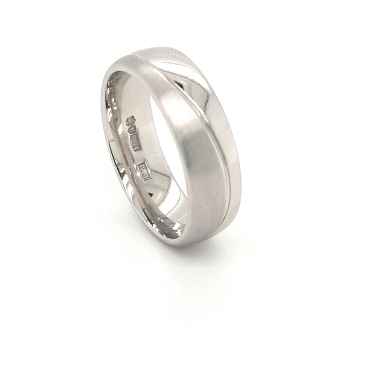 Platinum Natural Plain Ring