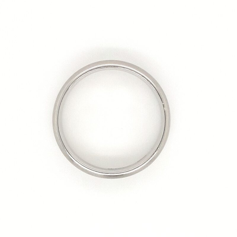 Platinum Natural Plain Ring